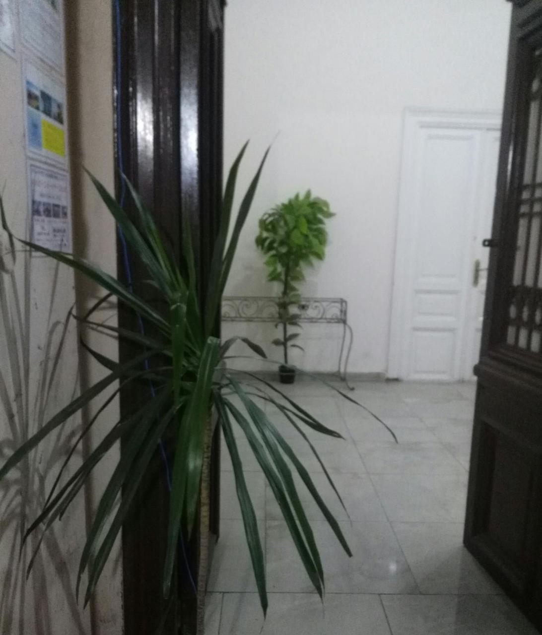 Safary Hostel Cairo Exterior photo